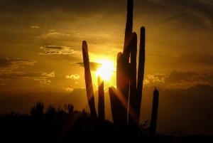 Tour comunitário Biodiversidade Latatacoa Deserto Villavieja