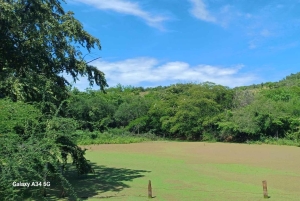 Tour comunitário Biodiversidade Latatacoa Deserto Villavieja