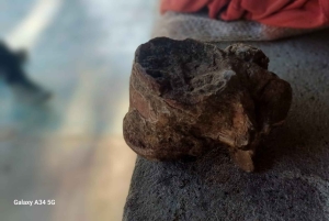 Tour comunitário Biodiversidade Latatacoa Deserto Villavieja