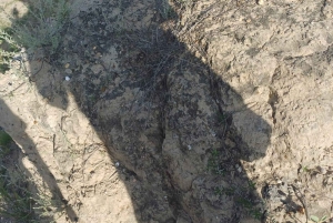 Tour comunitário Biodiversidade Latatacoa Deserto Villavieja