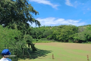 Tour comunitário Biodiversidade Latatacoa Deserto Villavieja