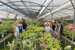 Comuna 4 - Moravia Tour