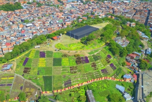 Comuna 4 - Moravia Tour