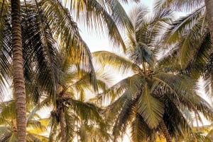 タイク・イ・カボ・インディヘナ共同体 サン・フアン・タイロナ