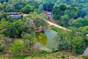 Randonnée pittoresque à cheval dans une réserve de montagne tropicale