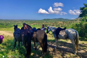 Randonnée pittoresque à cheval dans une réserve de montagne tropicale