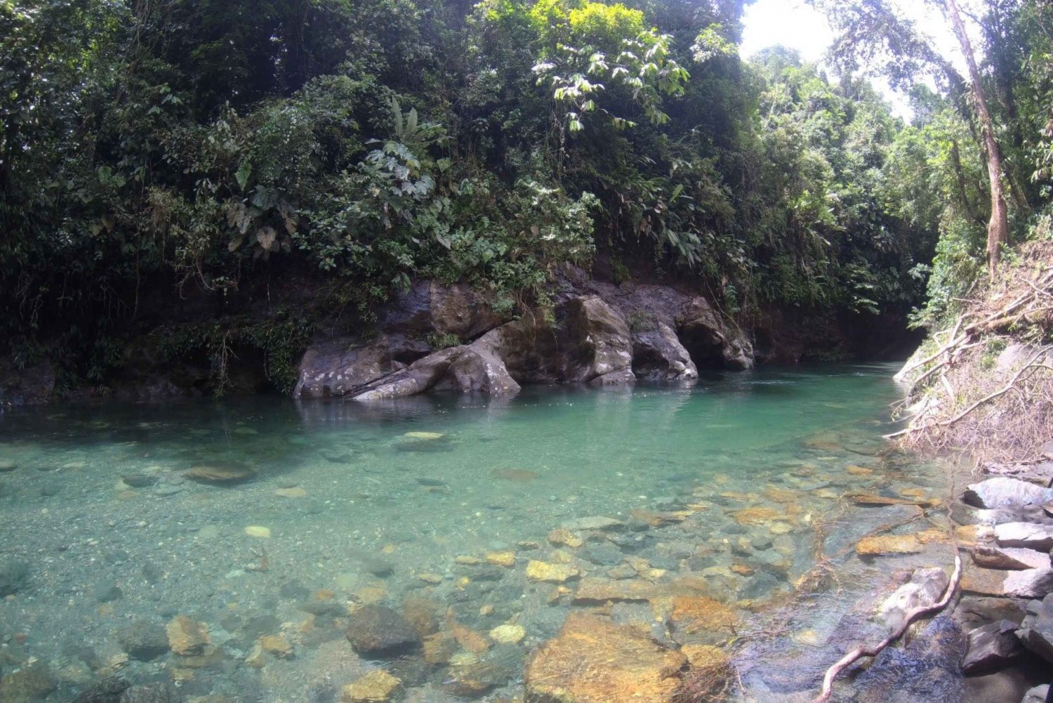 Crystal River: crystalline waters, stunning landscapes
