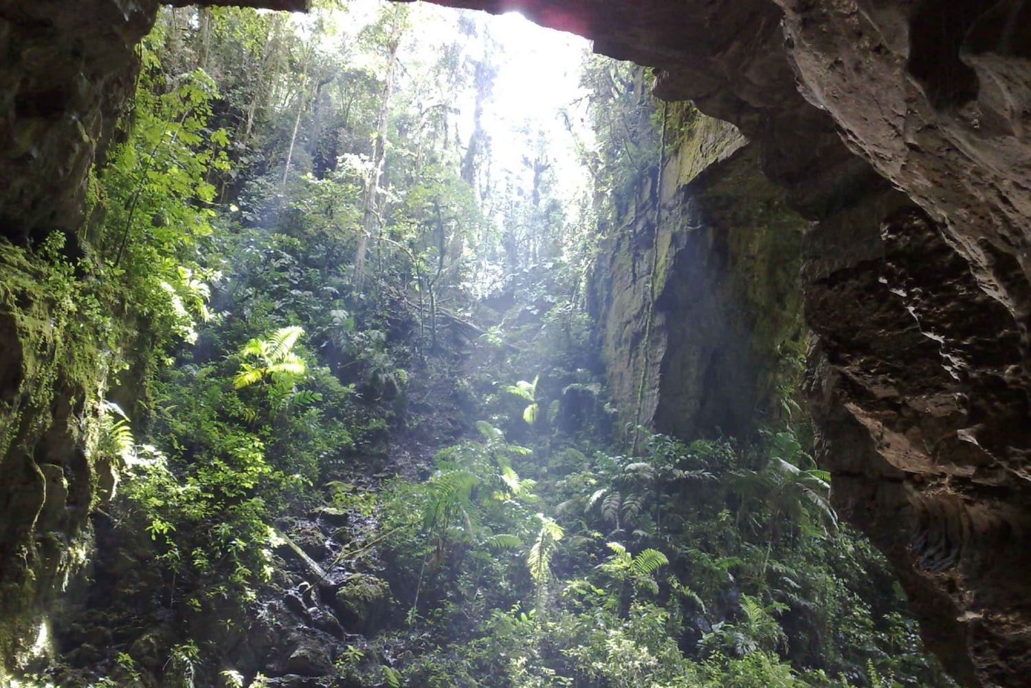 クエバ・デ・ロス・グアチャロス国立公園：サンアグスティン発の3日間の探検