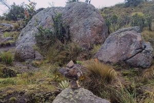 Cundinamarca: tour guiado a pie por el Camino Muisca