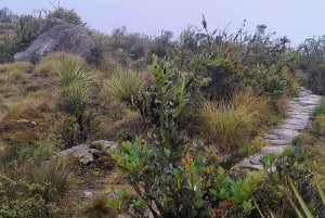 Cundinamarca: tour guiado a pie por el Camino Muisca