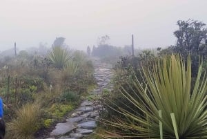 Cundinamarca : visite guidée à pied du sentier Muisca