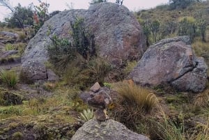 Cundinamarca : visite guidée à pied du sentier Muisca