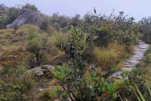 Cundinamarca : visite guidée à pied du sentier Muisca