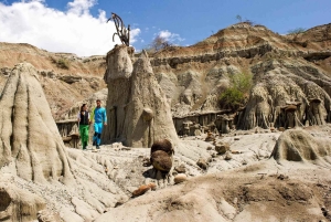 Viagem de 1 dia para o Deserto de Tatacoa (a cavalo, barco, observação de estrelas, etc.)