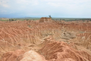 Viagem de 1 dia para o Deserto de Tatacoa (a cavalo, barco, observação de estrelas, etc.)