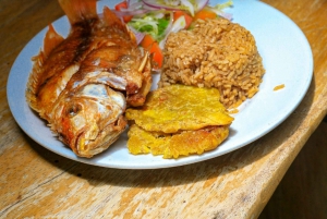 Excursion d'une journée à Playa Tranquila VIP avec parasols, déjeuner en bus !