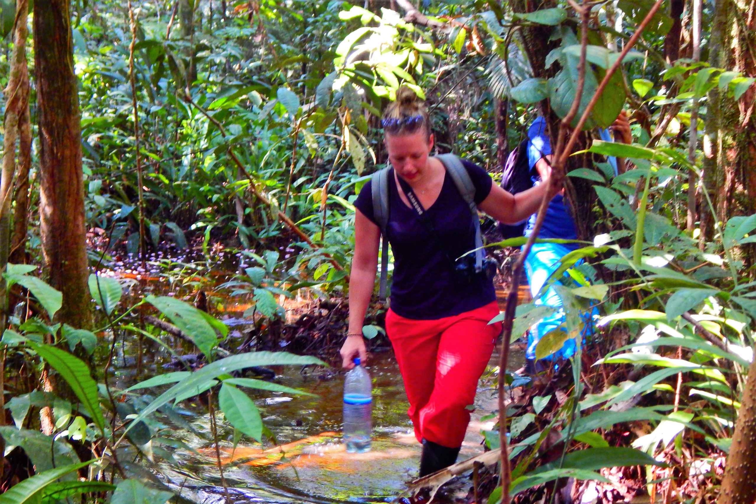 Plan d'expérience de la jungle profonde 4 jours