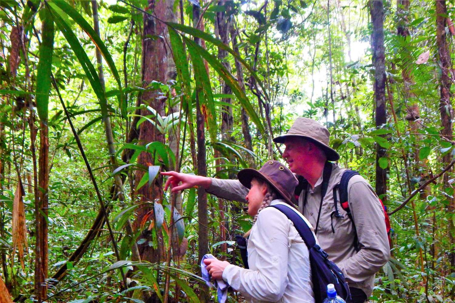 Plan d'expérience de la jungle profonde 4 jours