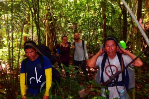 Deep Jungle Experience Plan 4 Days