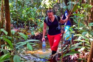 Deep Jungle Experience Plan 4 Days