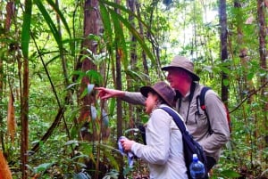 Deep Jungle Experience Plan 4 Days