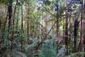 Deep Jungle Experience Plan 4 Days