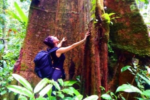 Deep Jungle Experience Plan 4 Days