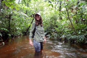 Deep Jungle Experience Plan 4 Days