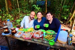 Deep Jungle Experience Plan 4 Days