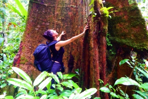 Plan d'expérience de la jungle profonde 4 jours