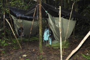 Plan d'expérience de la jungle profonde 4 jours