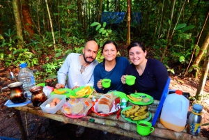 Plan d'expérience de la jungle profonde 4 jours