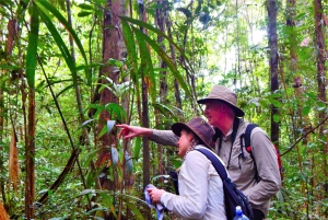 План посещения глубоких джунглей, 4 дня