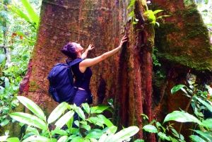План посещения глубоких джунглей, 4 дня