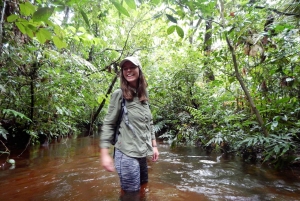 План посещения глубоких джунглей, 4 дня