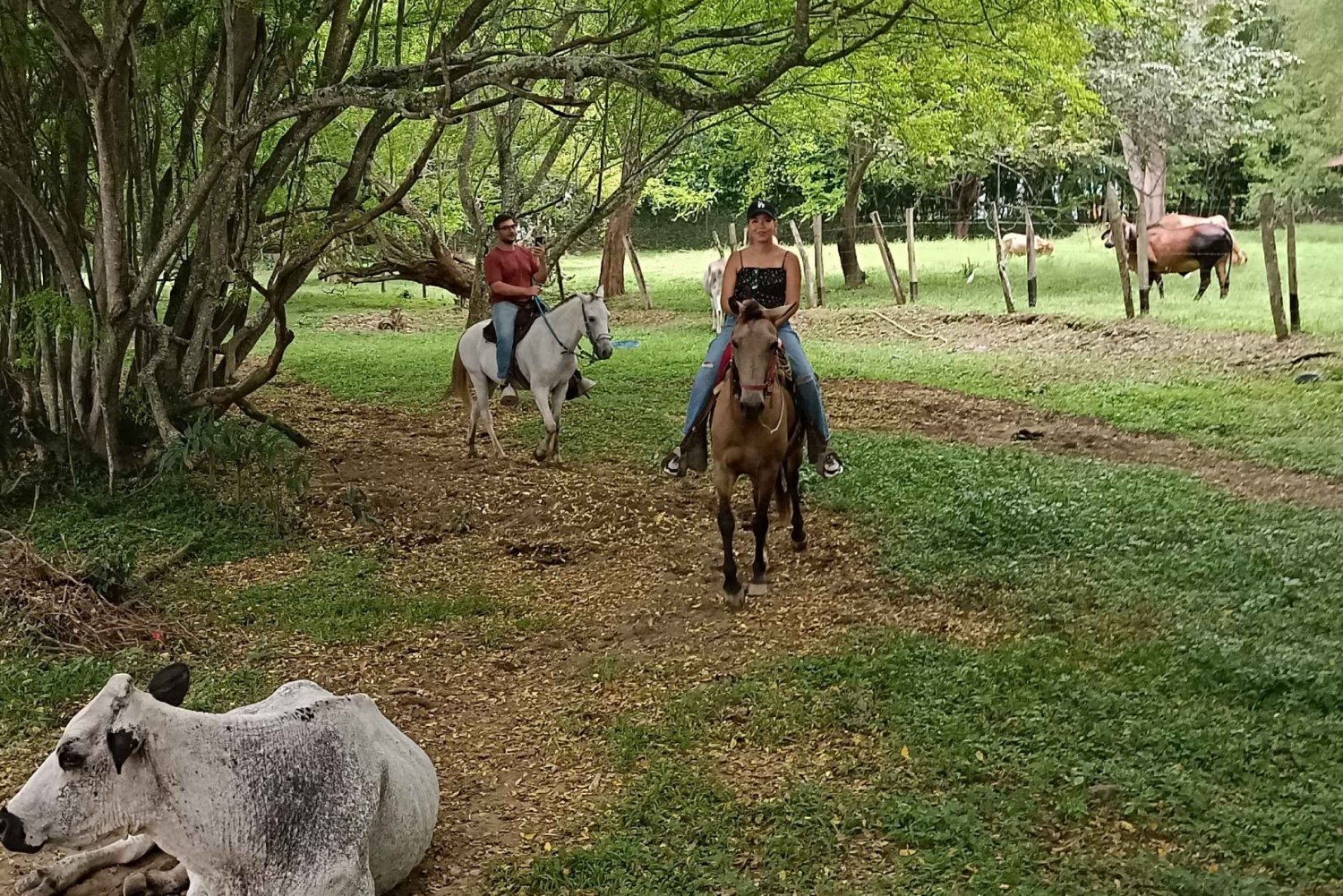 Medellínistä: Ratsastusretki + Vieraile Santa Fe de Antioquia -kaupungissa