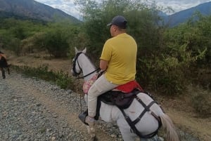 From Medellín:Horseback riding tour+Santa Fe de Antioquia visit.