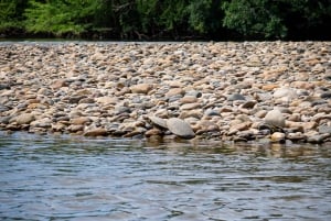 Visite de la communauté et de la biodiversité dans le désert de Tatacoa Neiva