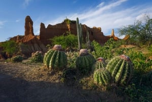 Visite de la communauté et de la biodiversité dans le désert de Tatacoa Neiva
