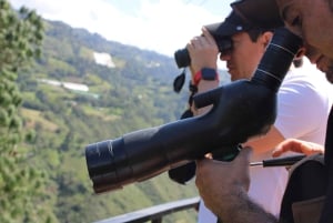 90 minutes from Bogota: artisanal coffee tour, birds, culture, and local guide.