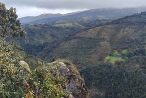Discover The Unusual Of Puracé Natural Park