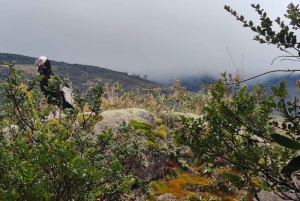 Discover The Unusual Of Puracé Natural Park