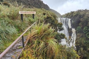 Discover The Unusual Of Puracé Natural Park