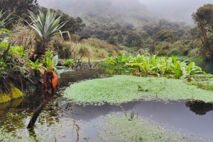 Discover The Unusual Of Puracé Natural Park