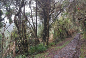 Discover The Unusual Of Puracé Natural Park