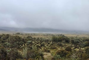 Discover The Unusual Of Puracé Natural Park
