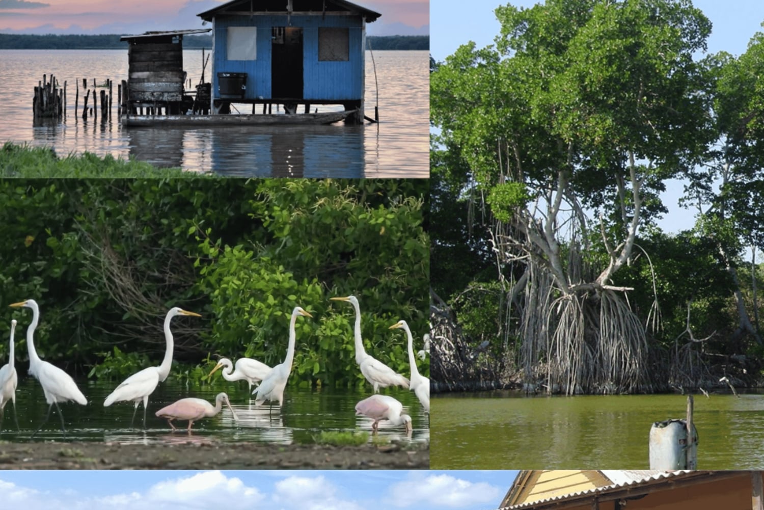 Entdecke das Dorf der Pfahlbauten in der Ciénaga Grande von Santa Marta.
