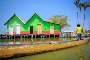 Discover the village of Palafitos in the Ciénaga Grande de Santa Marta