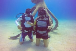 Tauchen für Anfänger zwischen Korallen und Statuen in San Andrés