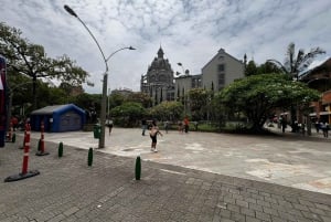 Centro comercial y galerías de arte/museo